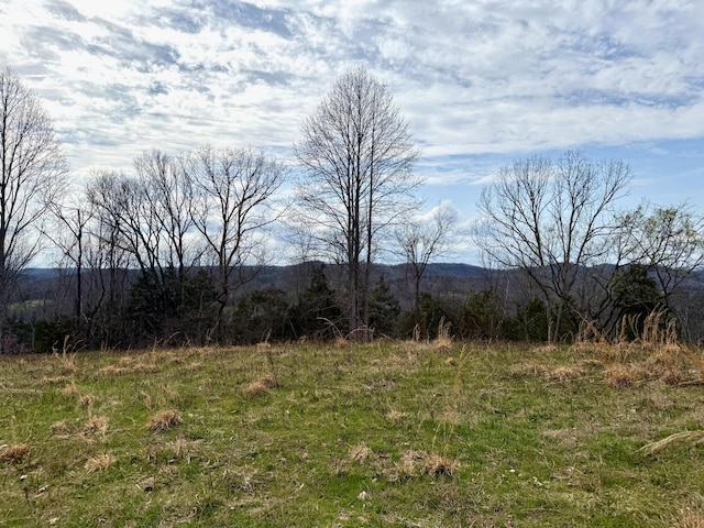 2663 Clear Fork Rd, Liberty, TN 37095 - photo 38