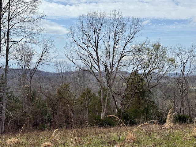 2663 Clear Fork Rd, Liberty, TN 37095 - photo 46