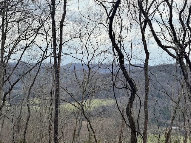2663 Clear Fork Rd, Liberty, TN 37095 - photo 26