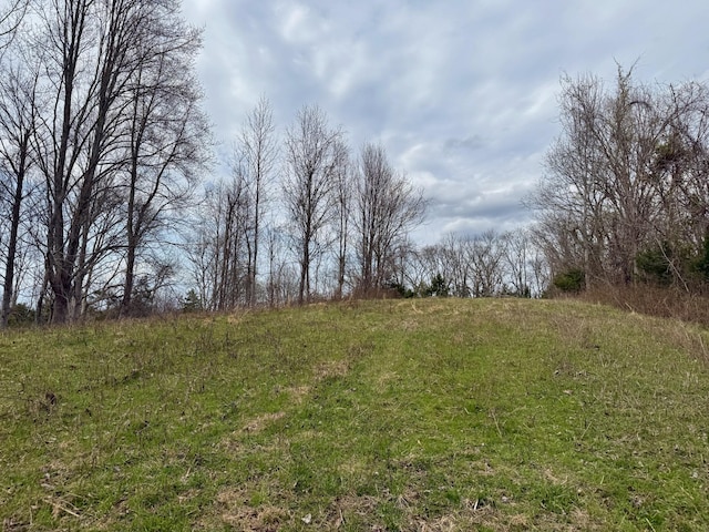 2663 Clear Fork Rd, Liberty, TN 37095 - photo 36