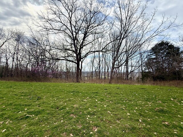 2663 Clear Fork Rd, Liberty, TN 37095 - photo 28