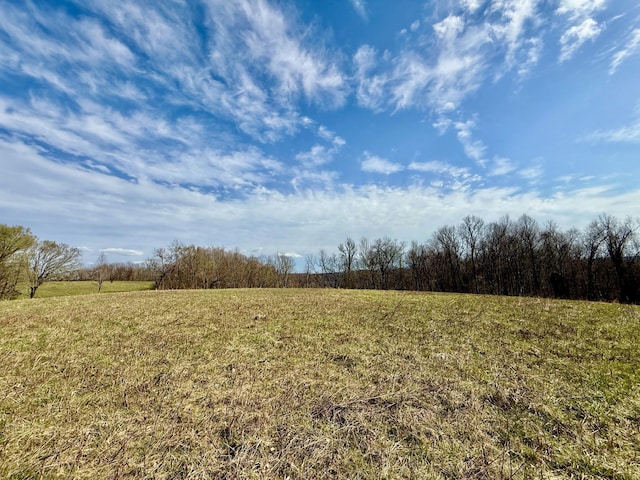 2663 Clear Fork Rd, Liberty, TN 37095 - photo 48