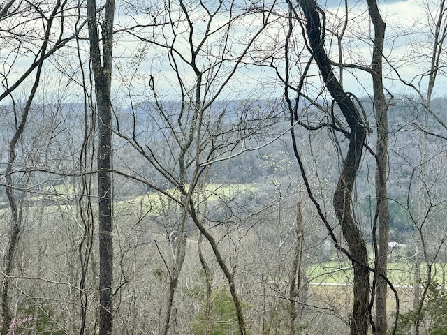 2663 Clear Fork Rd, Liberty, TN 37095 - photo 47