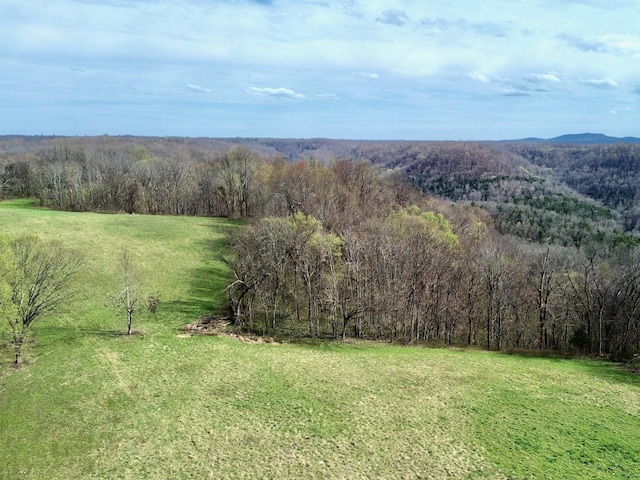 2663 Clear Fork Rd, Liberty, TN 37095 - photo 15