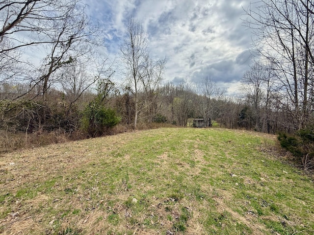 2663 Clear Fork Rd, Liberty, TN 37095 - photo 49