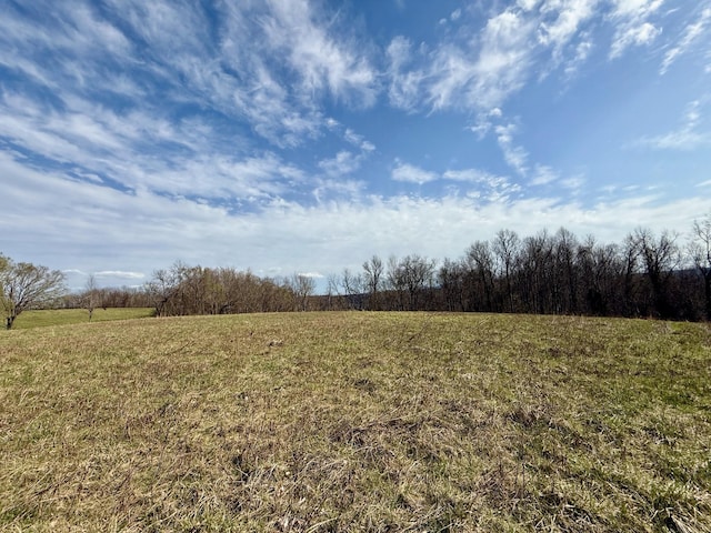 2663 Clear Fork Rd, Liberty, TN 37095 - photo 32