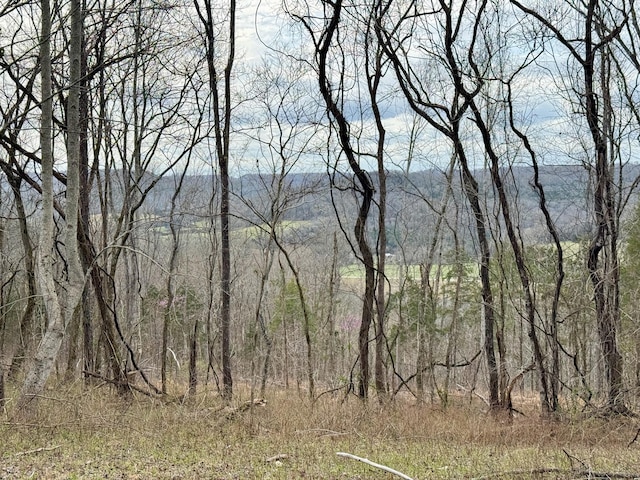 2663 Clear Fork Rd, Liberty, TN 37095 - photo 43