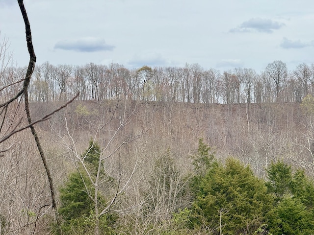 2663 Clear Fork Rd, Liberty, TN 37095 - photo 37