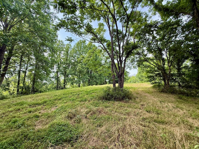 2663 Clear Fork Rd, Liberty, TN 37095 - photo 22