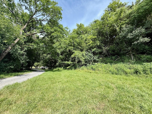 2663 Clear Fork Rd, Liberty, TN 37095 - photo 53