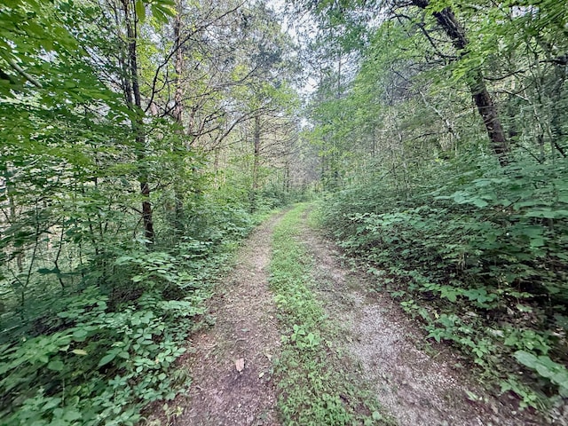 2663 Clear Fork Rd, Liberty, TN 37095 - photo 51