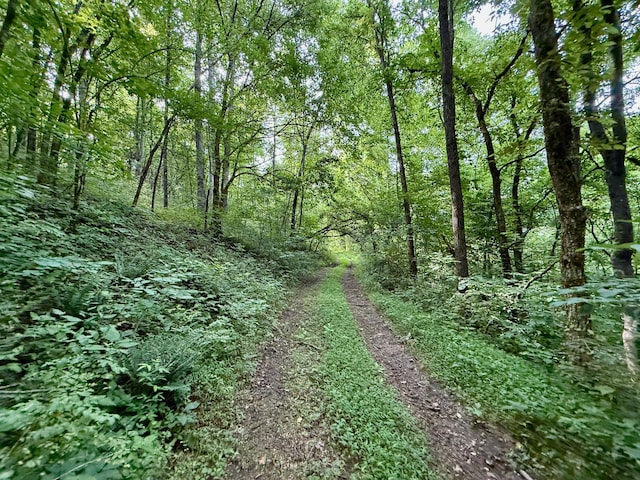 2663 Clear Fork Rd, Liberty, TN 37095 - photo 56