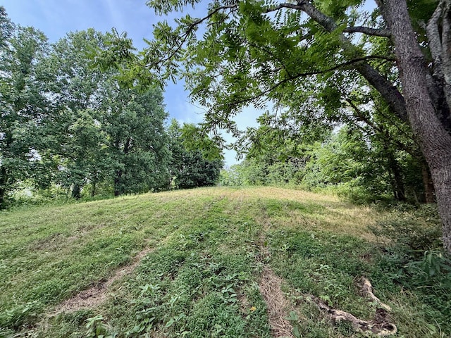 2663 Clear Fork Rd, Liberty, TN 37095 - photo 23