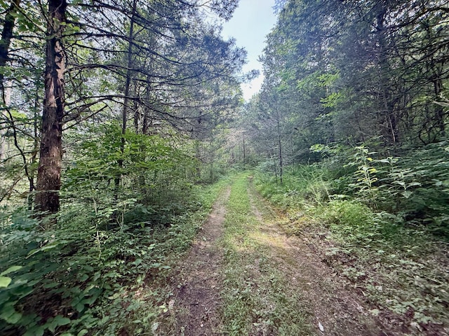 2663 Clear Fork Rd, Liberty, TN 37095 - photo 52