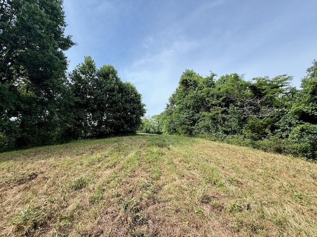 2663 Clear Fork Rd, Liberty, TN 37095 - photo 14