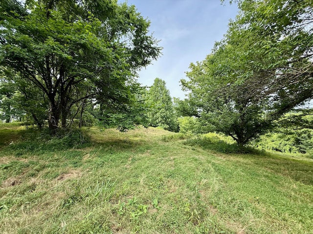 2663 Clear Fork Rd, Liberty, TN 37095 - photo 20