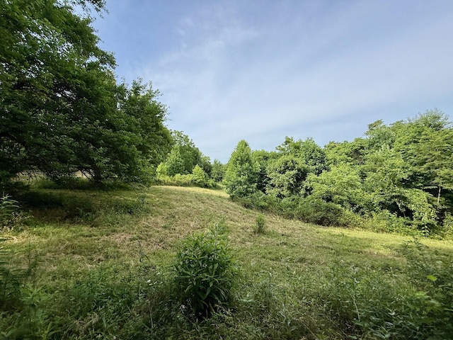 2663 Clear Fork Rd, Liberty, TN 37095 - photo 58
