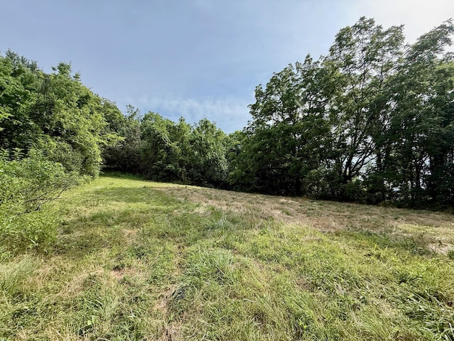 2663 Clear Fork Rd, Liberty, TN 37095 - photo 62