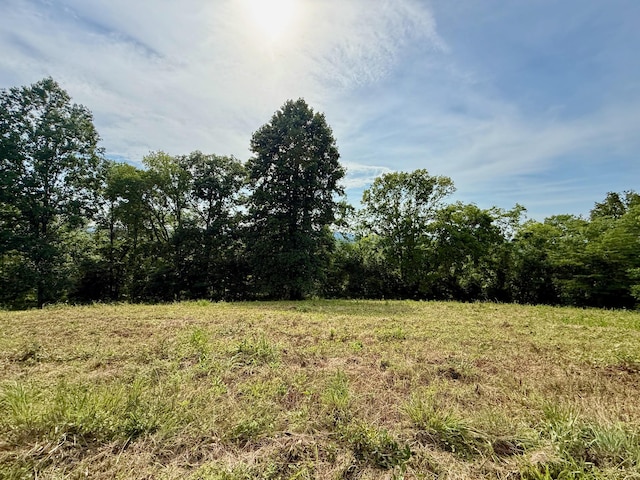 2663 Clear Fork Rd, Liberty, TN 37095 - photo 12