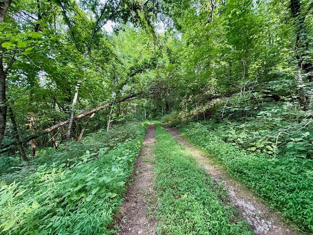 2663 Clear Fork Rd, Liberty, TN 37095 - photo 65
