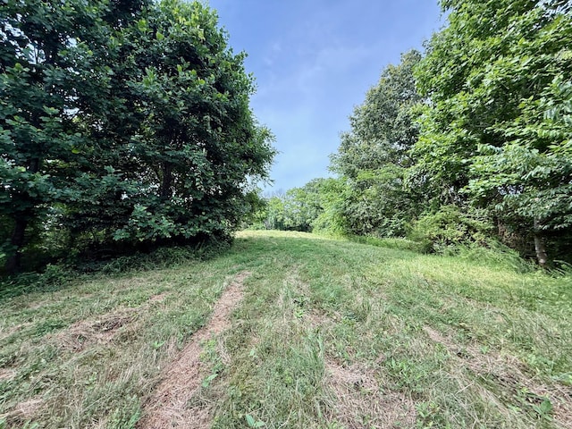 2663 Clear Fork Rd, Liberty, TN 37095 - photo 11