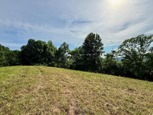 2663 Clear Fork Rd, Liberty, TN 37095 - photo 13