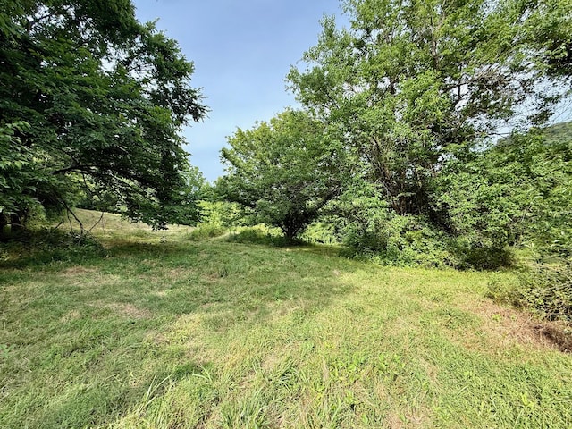2663 Clear Fork Rd, Liberty, TN 37095 - photo 63