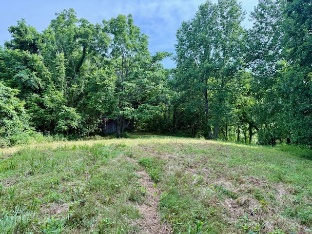 2663 Clear Fork Rd, Liberty, TN 37095 - photo 59