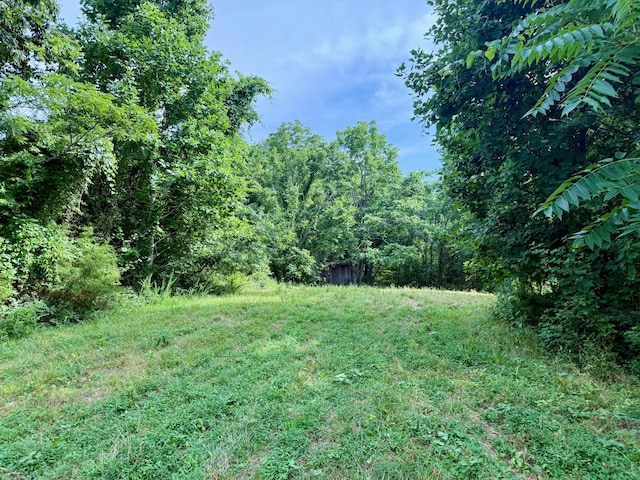2663 Clear Fork Rd, Liberty, TN 37095 - photo 18