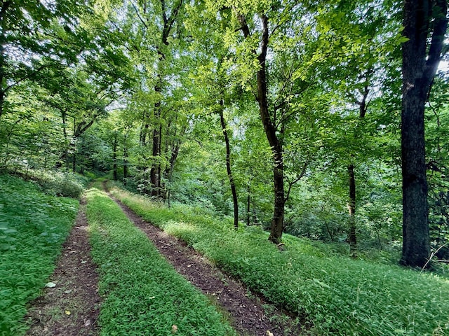 2663 Clear Fork Rd, Liberty, TN 37095 - photo 68