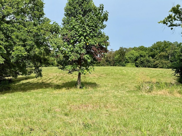 2663 Clear Fork Rd, Liberty, TN 37095 - photo 9