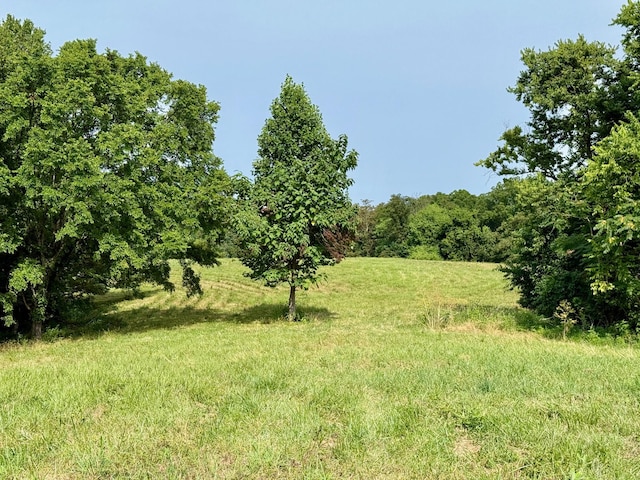 2663 Clear Fork Rd, Liberty, TN 37095 - photo 10
