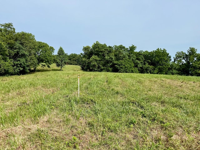 2663 Clear Fork Rd, Liberty, TN 37095 - photo 4
