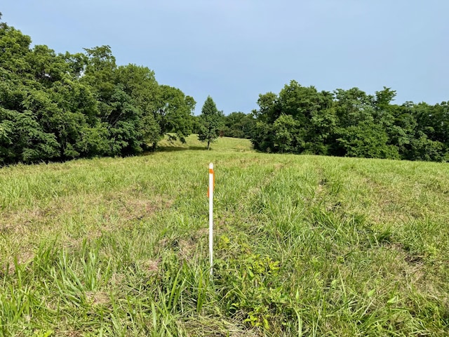 2663 Clear Fork Rd, Liberty, TN 37095 - photo 16