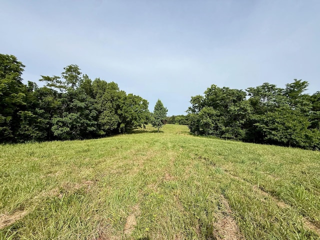 2663 Clear Fork Rd, Liberty, TN 37095 - photo 2