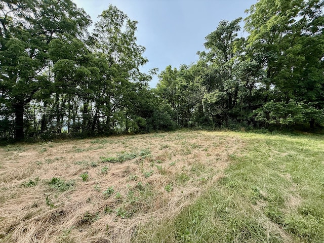 2663 Clear Fork Rd, Liberty, TN 37095 - photo 79