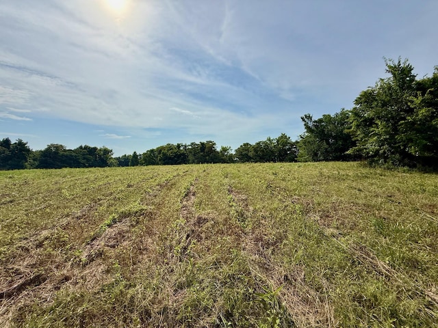 2663 Clear Fork Rd, Liberty, TN 37095 - photo 73