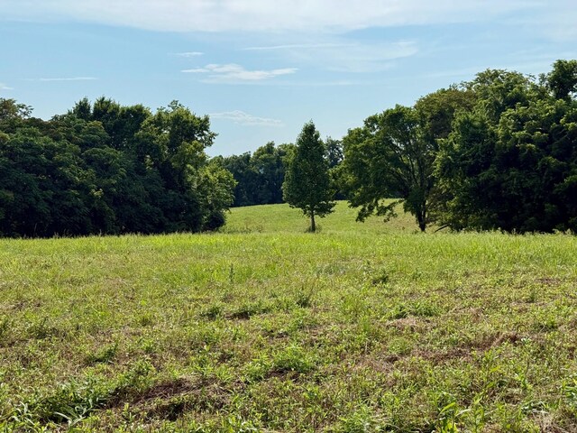 2663 Clear Fork Rd, Liberty, TN 37095 - photo 75