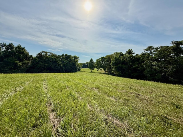 2663 Clear Fork Rd, Liberty, TN 37095 - photo 76