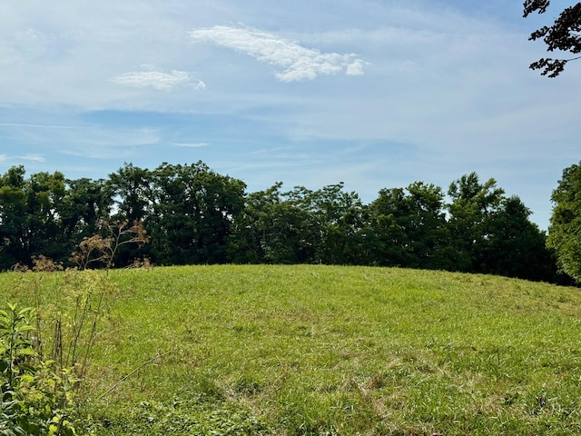 2663 Clear Fork Rd, Liberty, TN 37095 - photo 71