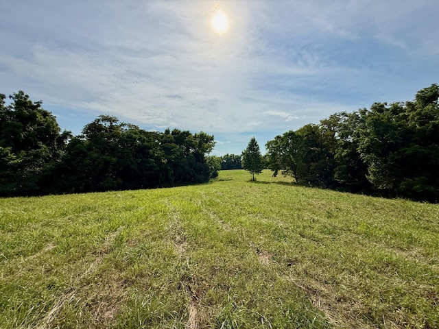 2663 Clear Fork Rd, Liberty, TN 37095 - photo 72