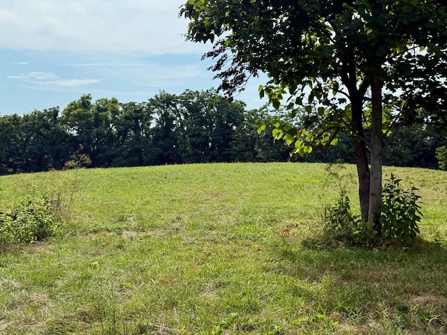 2663 Clear Fork Rd, Liberty, TN 37095 - photo 77