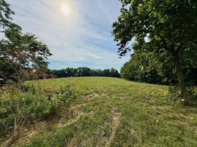 2663 Clear Fork Rd, Liberty, TN 37095 - photo 70
