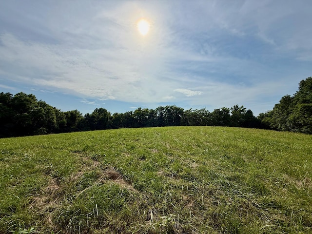 2663 Clear Fork Rd, Liberty, TN 37095 - photo 69