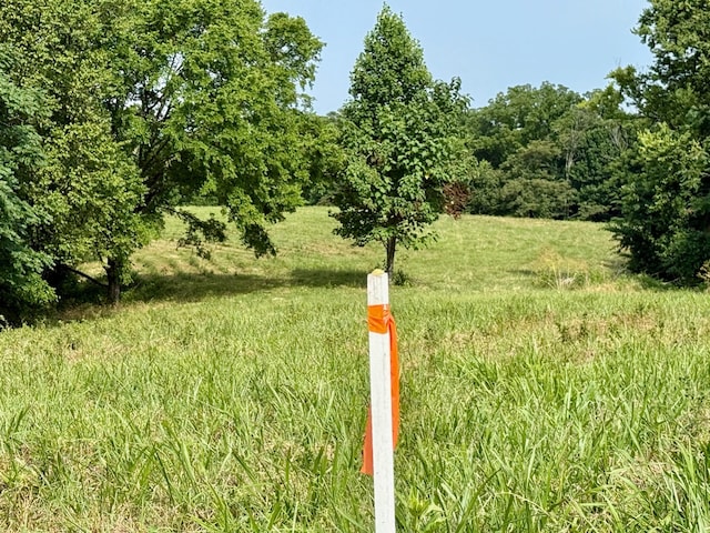 2663 Clear Fork Rd, Liberty, TN 37095 - photo 17