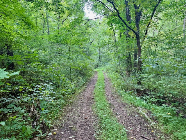 2663 Clear Fork Rd, Liberty, TN 37095 - photo 82