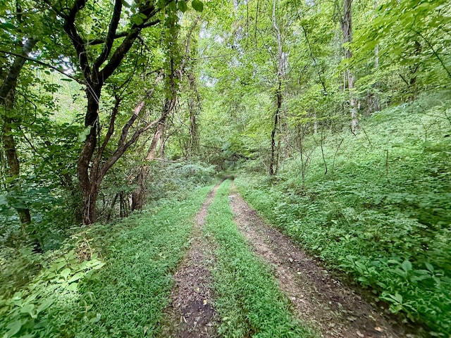 2663 Clear Fork Rd, Liberty, TN 37095 - photo 81