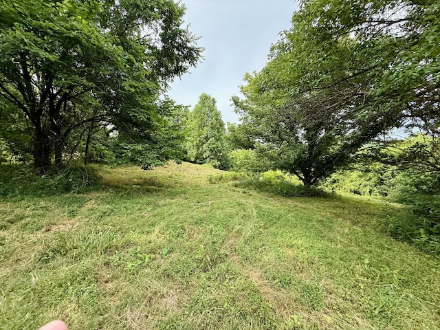 2663 Clear Fork Rd, Liberty, TN 37095 - photo 80