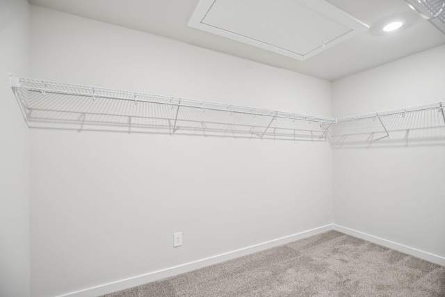 1041 Kiley Ct, Antioch, TN 37013 - photo 48