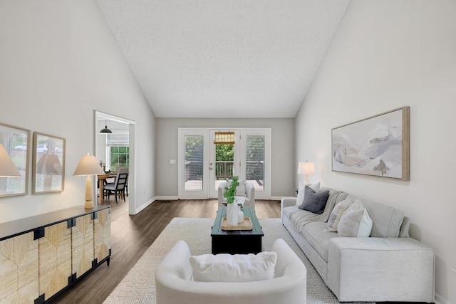 7616 Hudlow Ct, Fairview, TN 37062 - living area featuring high vaulted ceiling and dark wood-style floors